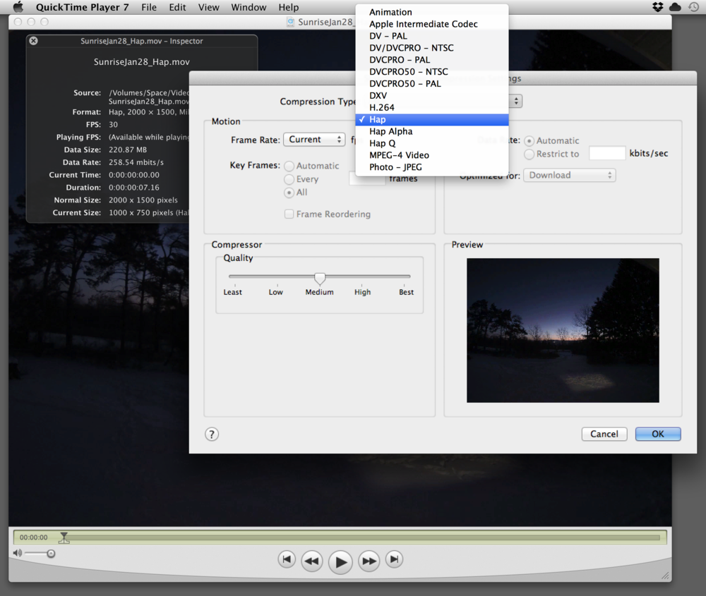 flv codec for quicktime mac